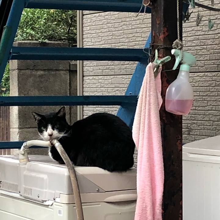 Cf56cbe1 ed38 4809 8eba 52221b31eba4 1606146235770