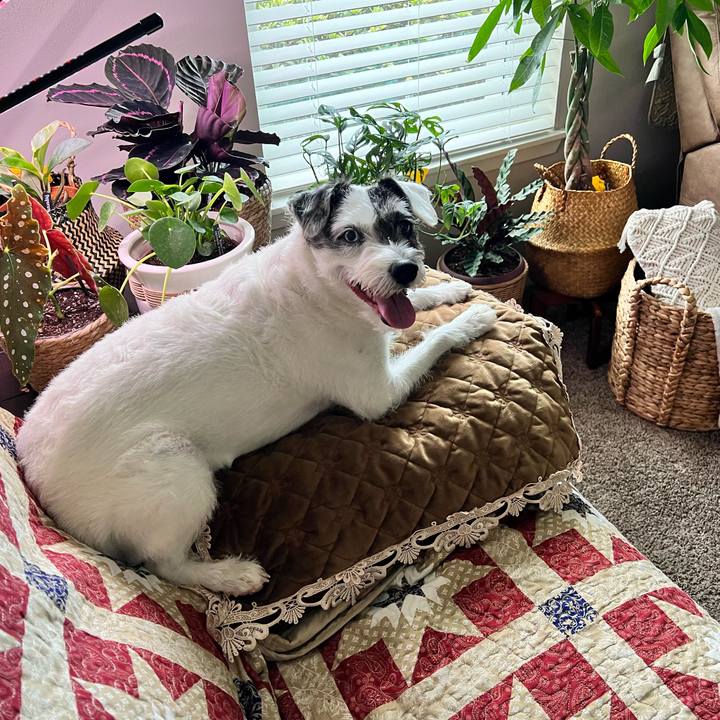 Cf56e213 33ee 437d b35b 50dfd7380721 1656713015271