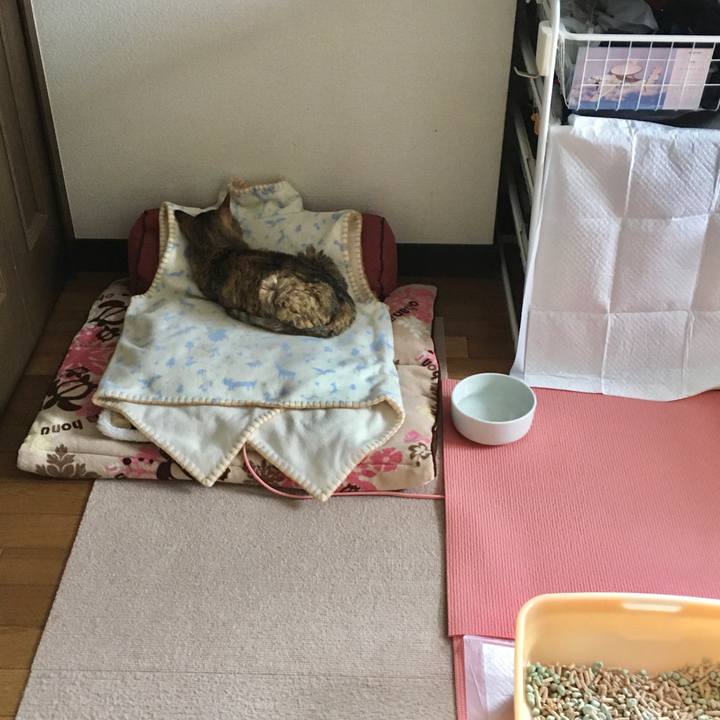 Cf572c26 b0e8 4ca8 9dcc c1efe033802a 1579517048829