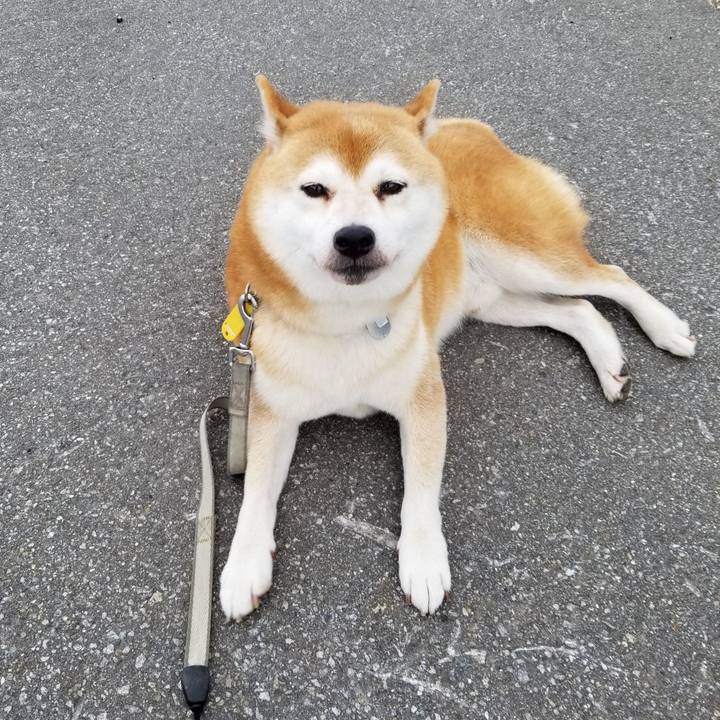 Cf573a13 a288 496a bf74 80eafe6a570a 1570429646394