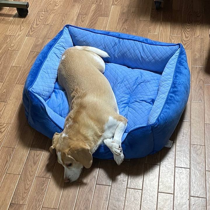 Cf575c23 5536 4116 8a84 9439b10c5068 1657951078482