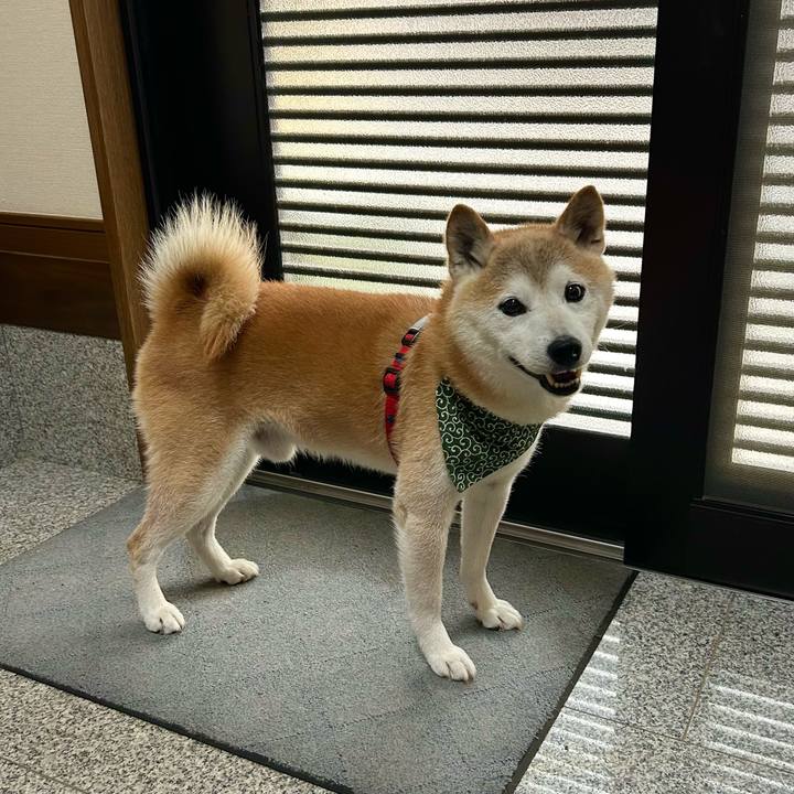 Cf575ef3 336d 40a7 8626 1e7d97b6e566 1754131992157