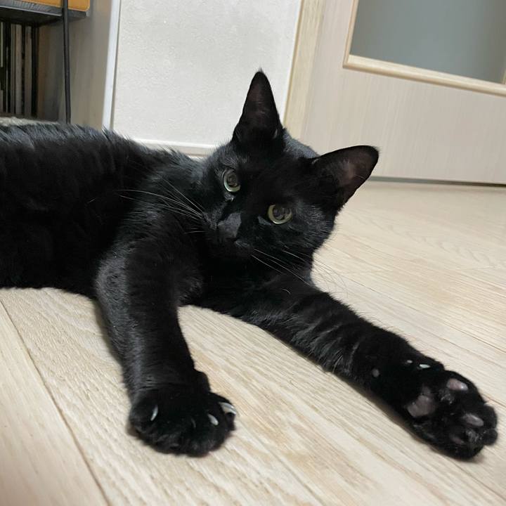 Cf576948 351e 4c22 933b 1080b409f62c 1668947750973