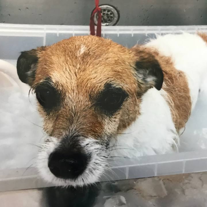 Cf577a83 4dc5 49d0 86f2 6e153e2d9c87 1524917780282