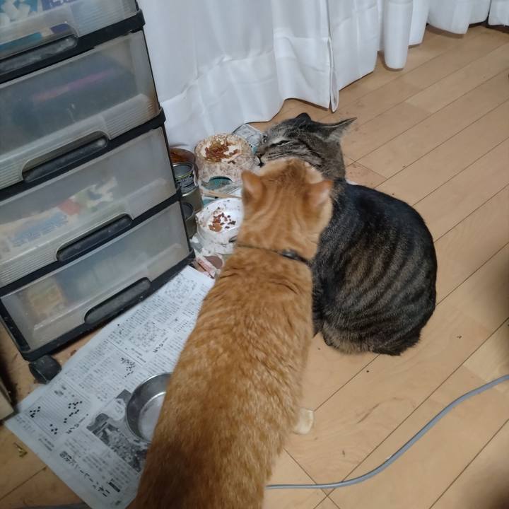 Cf577c45 a61f 4620 b3b8 6ff7ba005d10 1678747609777