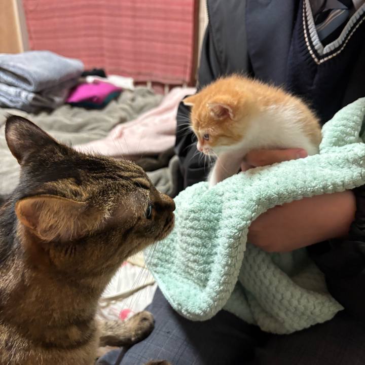 Cf57d9ee decc 4f7b 9c03 0de6be3ca47b 1746961743613