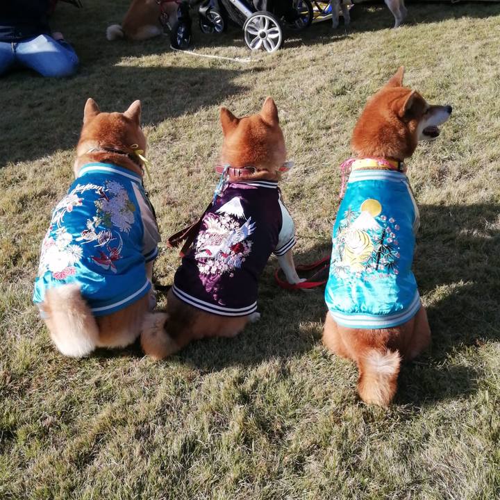 Cf57da1f 0bbb 420a a754 4a8cff63d439 1636298531693