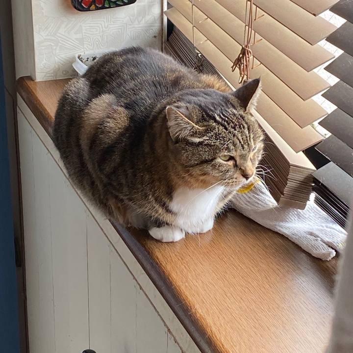 Cf58074d 0c49 4a45 98e8 847eac6c7c11 1578104129647