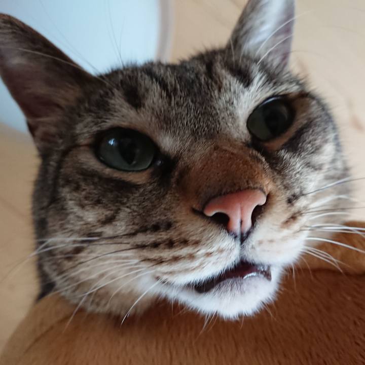 Cf581419 573d 4567 bc58 95a813e87934 1599275604786