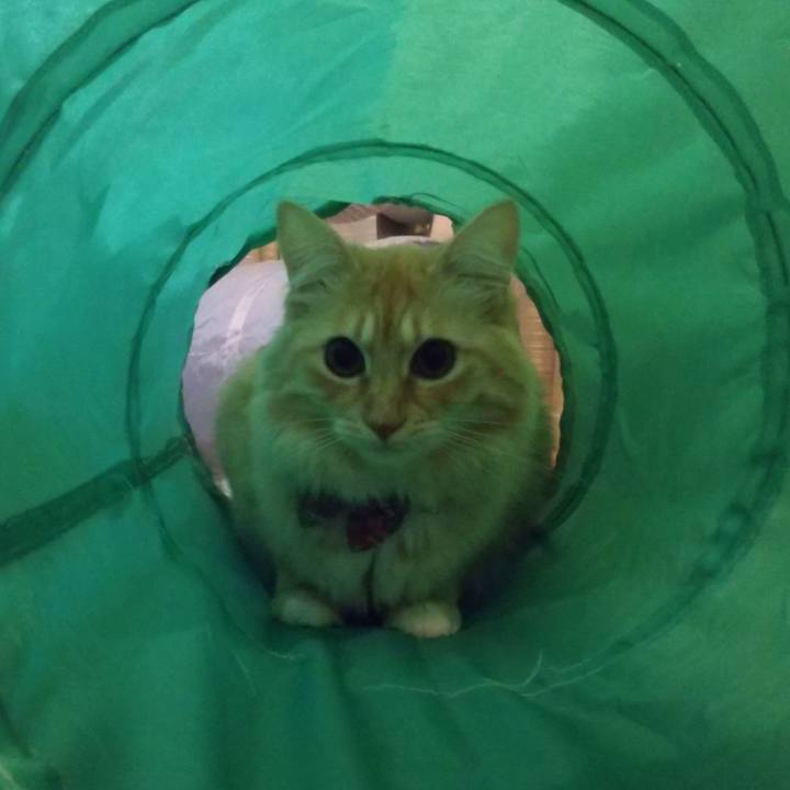 Cf58489f 04f2 4273 ac48 9365f5344677 1638920950993