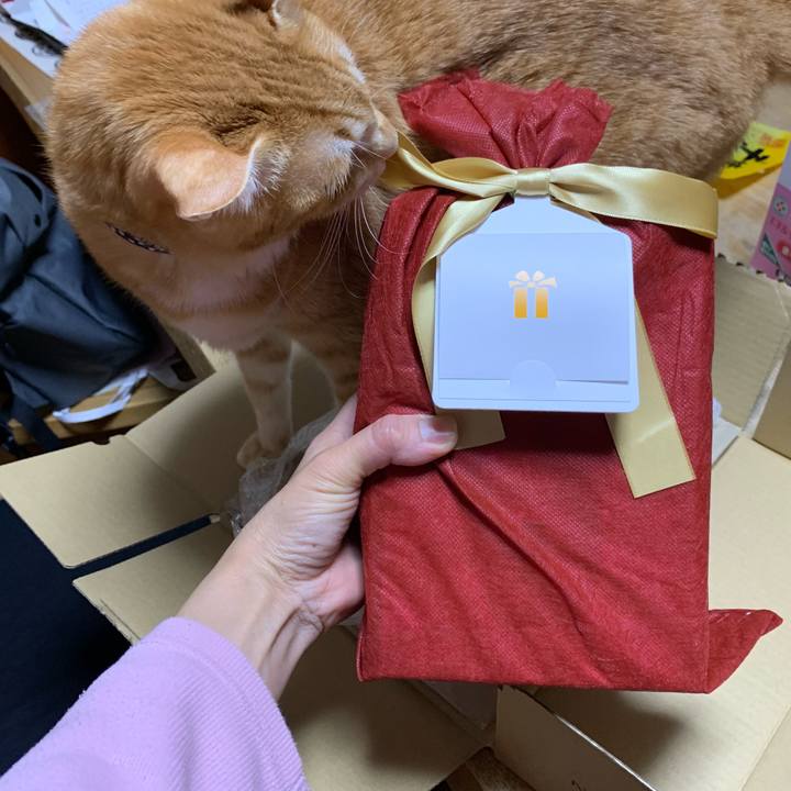 Cf585f71 4596 4b39 a1b8 abc1c001461b 1608813858825