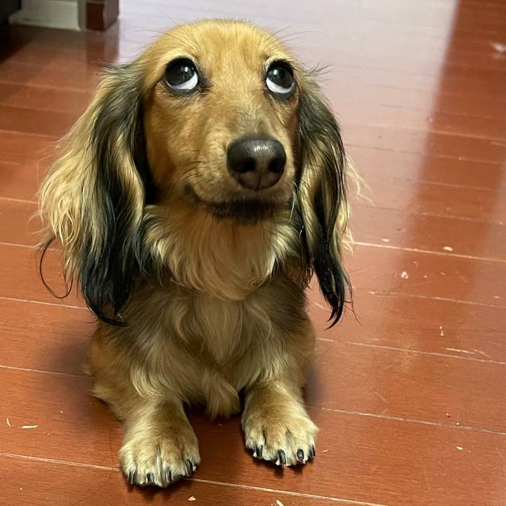 Cf58920d 1ec0 4774 9fa7 1b2d7f2bbd9e 1640437517294