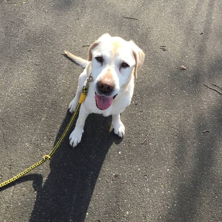 Cf58d593 61ac 4c88 9cde dca6ab8345df 1522740133108