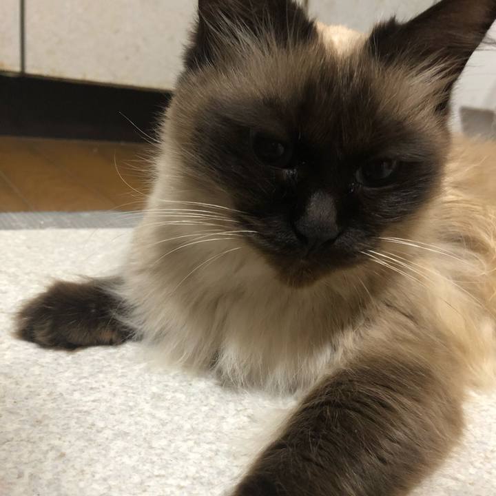 Cf5956cb ed90 4138 82d3 4fb20c5d027c 1609550008534