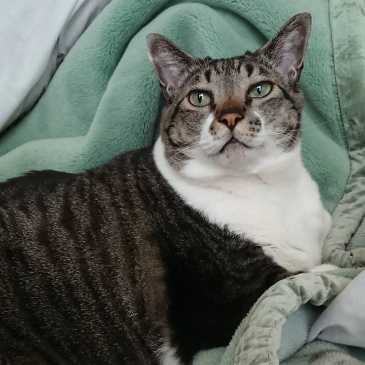 Cf59bca7 4808 43aa b9d9 4d09e75b8da3 1550801327678