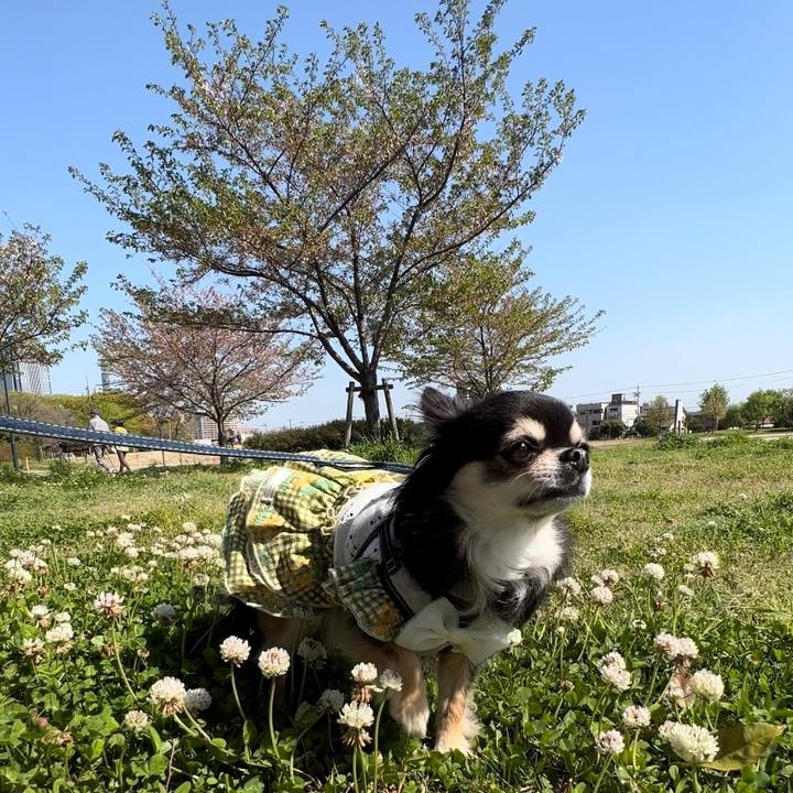 Cf5a7e23 b167 46c5 980d a391ea7aebb6 1681105732170