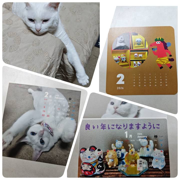 Cf5aaae7 50f0 4d83 bba7 cc6bc873434c 1769989233413