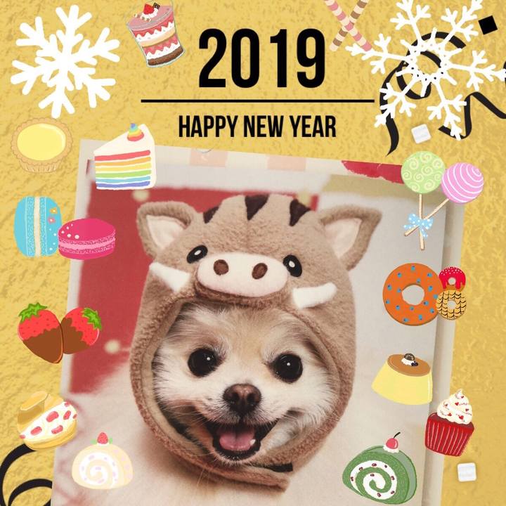 Cf5ab494 7afa 4de8 9b8c 60c003364a45 1546268439904