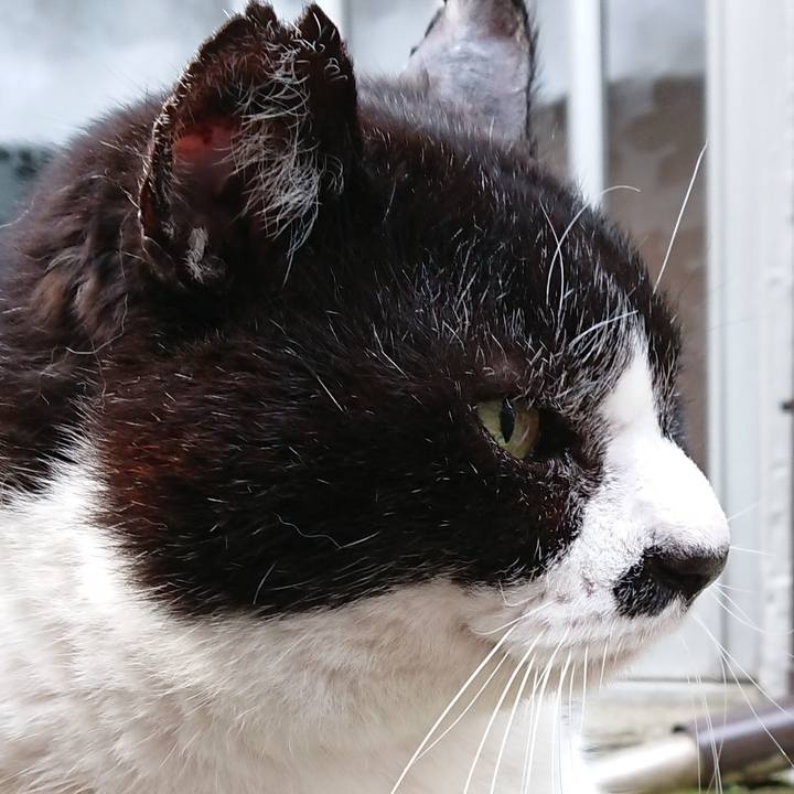 Cf5abfd6 9a7f 42ca bef4 fc9a761e2a44 1681254148115