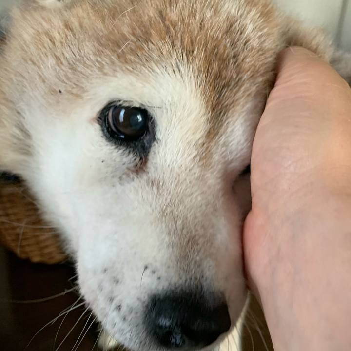 Cf5ad648 3d13 4220 beab 4c83c449994d 1657425955975