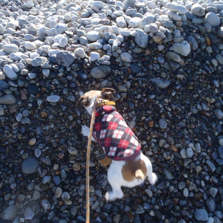 Cf5b5f77 df5d 4119 8577 30c074758cff 1512205293812