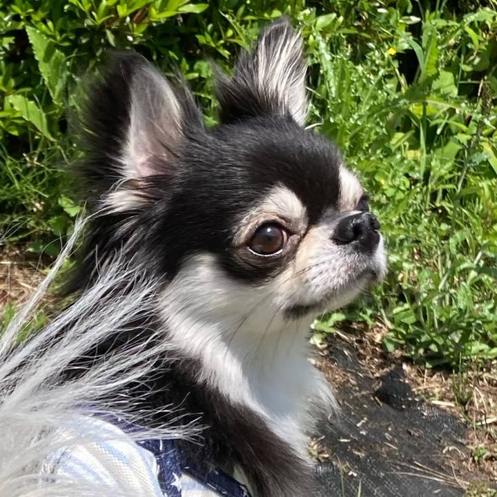 Cf5ba626 d64a 4b58 83cd b62820979ed7 1651669808163