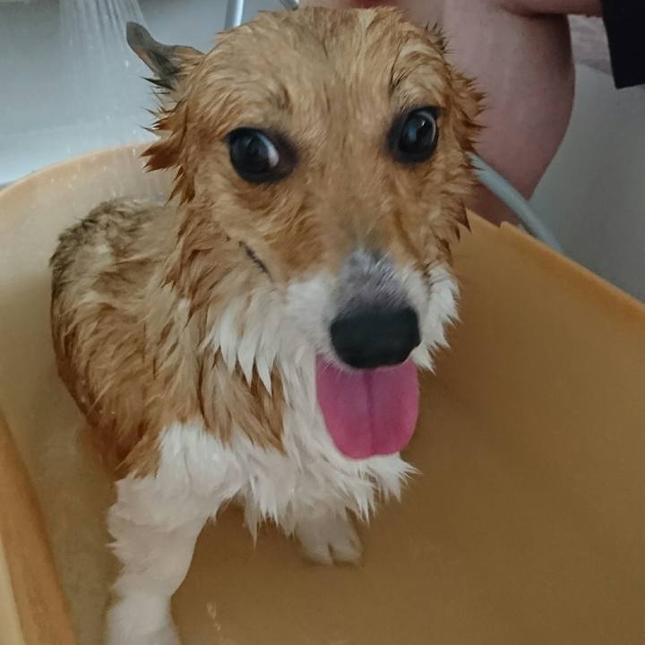 Cf5bcd81 2da0 45d5 ba68 540bf624ded2 1529201867651