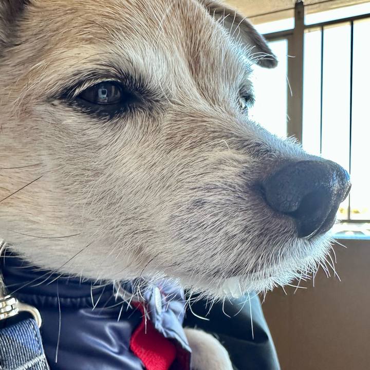 Cf5bd8f0 7a22 47c8 98e0 4383f82567b7 1738818004104