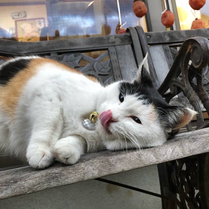 Cf5c12e8 6bb5 43c1 a819 b072bdaf3f21 1608071293567