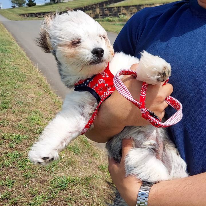 Cf5c4384 a3b0 423b 87ac 50da054e2214 1761196201525