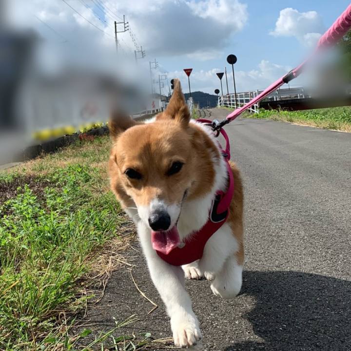 Cf5c6d0f a391 4d1f a3c3 8bcbc21ffba0 1695085547975