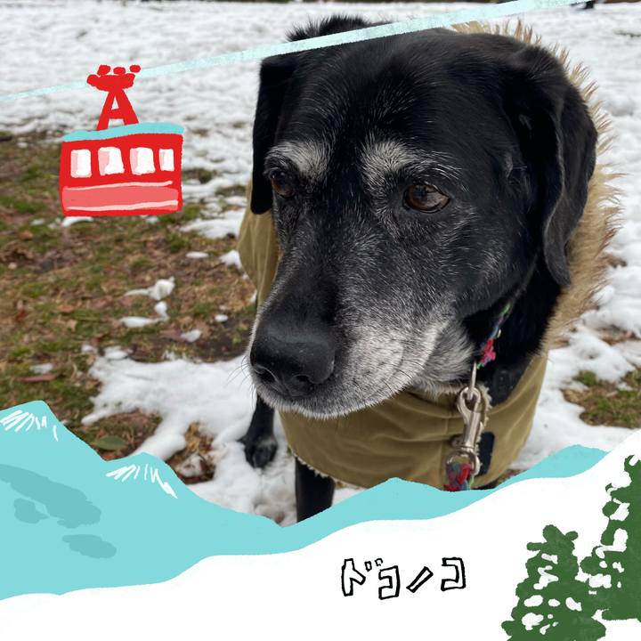 Cf5cea0d 0314 4128 a78c a0ae0445acf6 1707266110289