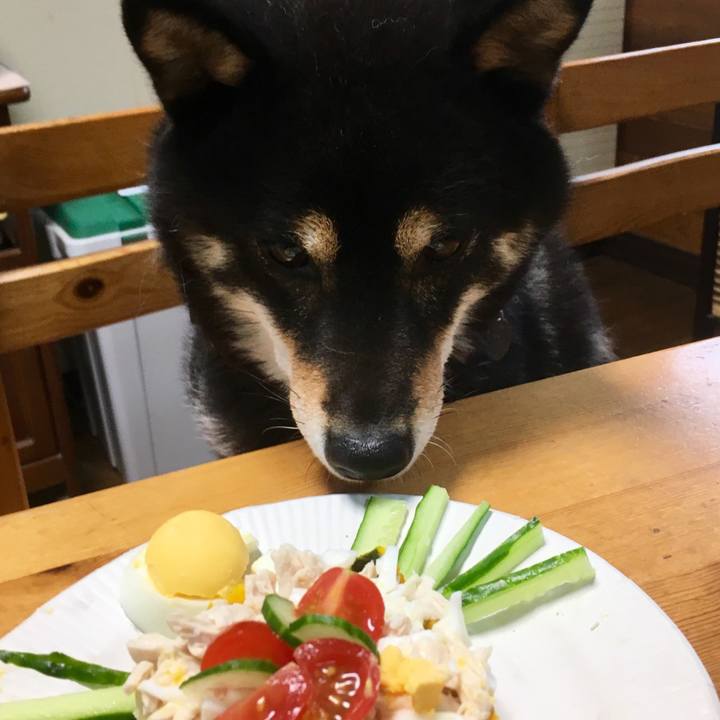 Cf5cf39b aef0 41a7 ba85 94d57ef68de8 1523672015945