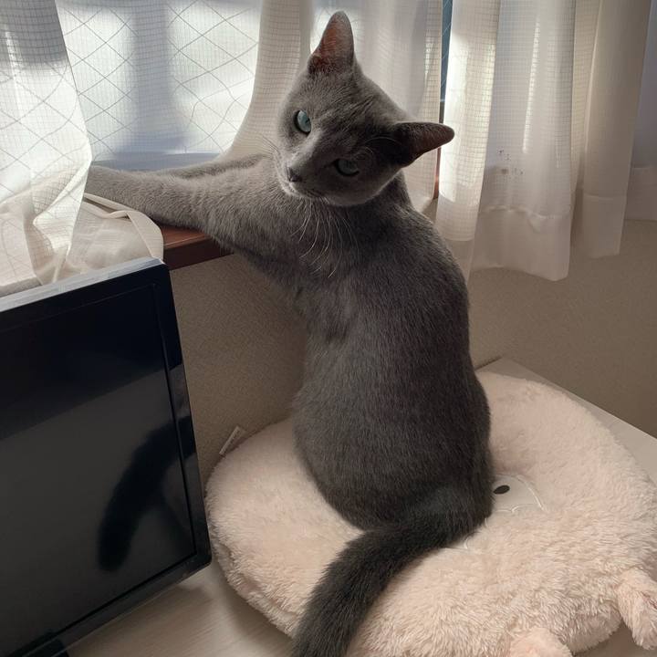 Cf5d2c63 9a29 4eee aacc 540c03bb9394 1577566194263