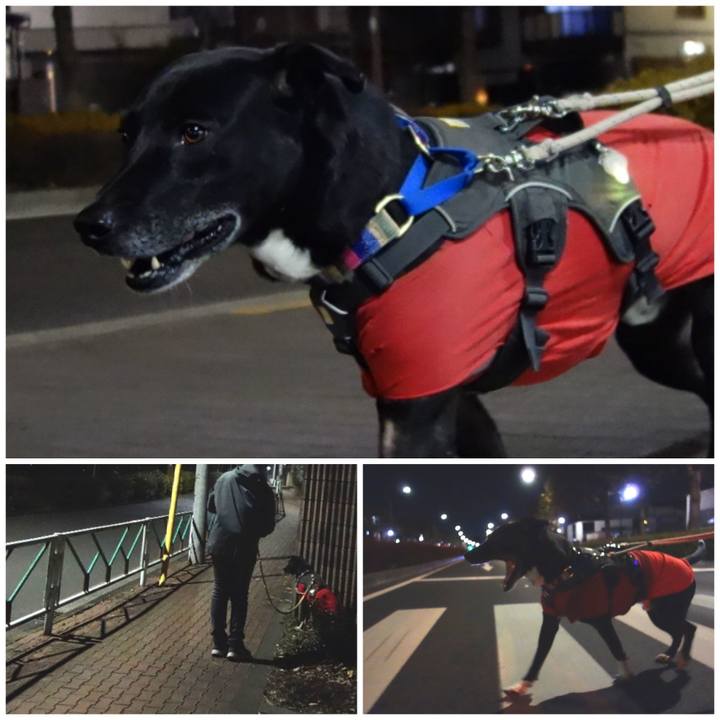 Cf5d8307 4675 41e9 8bf1 6b13c75c51d1 1645873183203