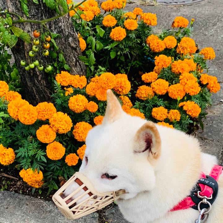 Cf5daa21 38df 4d90 be61 305bb6e7676a 1568584540430