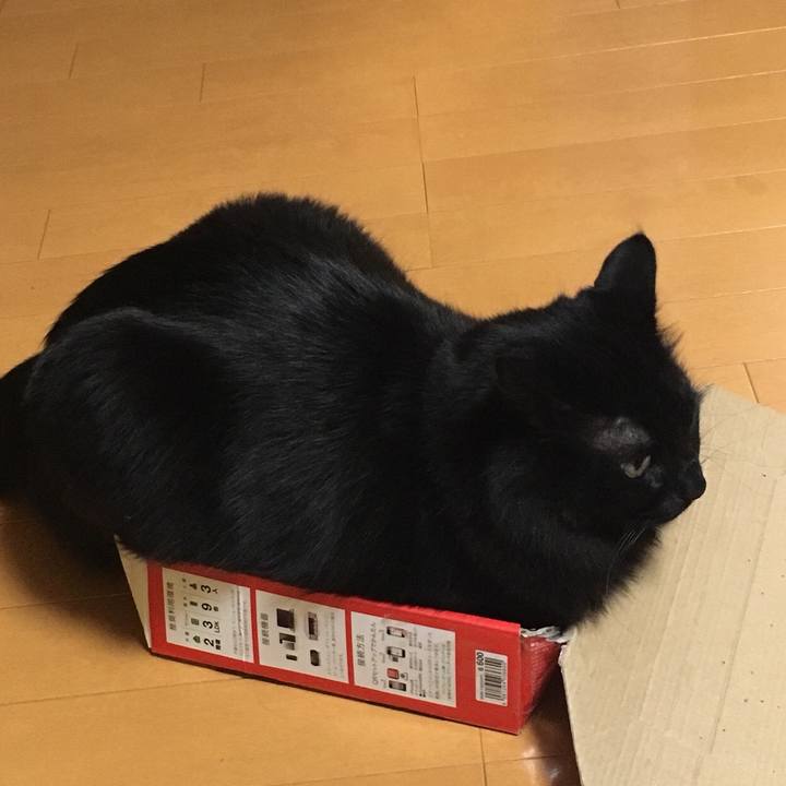 Cf5dbb1e 7a37 4d77 94ce 6f11e92cec7b 1516452416738