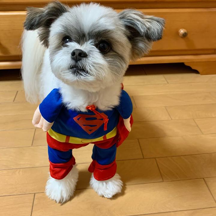 Cf5dcaad 65c4 4310 a021 19ee7ff85f01 1625983234522