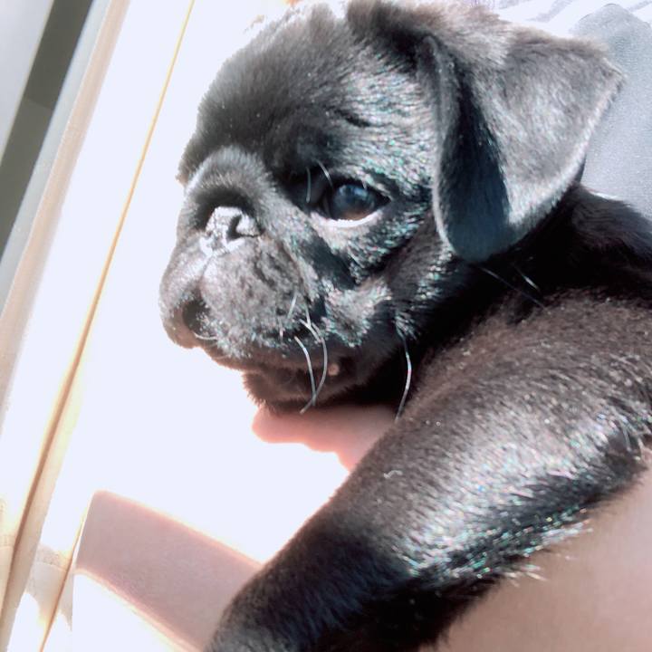 Cf5ddcc1 8472 43b7 8208 ba008c58ec75 1588805366924