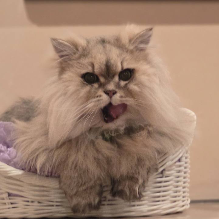 Cf5e031a 03c8 4405 9691 8ed74c0d5816 1744879126172