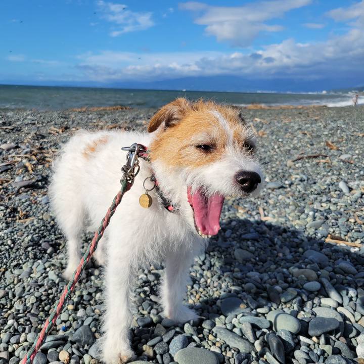 Cf5e1035 2339 445b b7a0 d5e35717c001 1726357443914