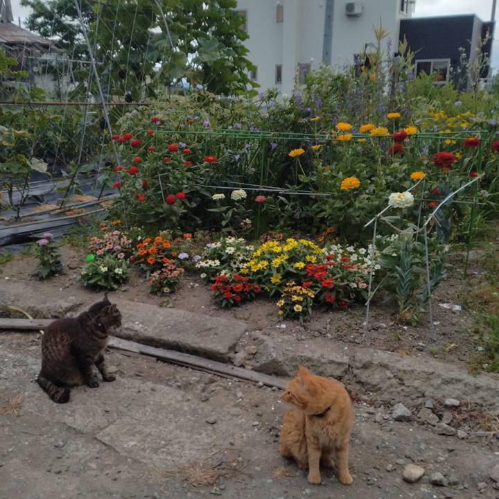 Cf5e227e f4c7 4030 acdc a86204f90651 1752196595267