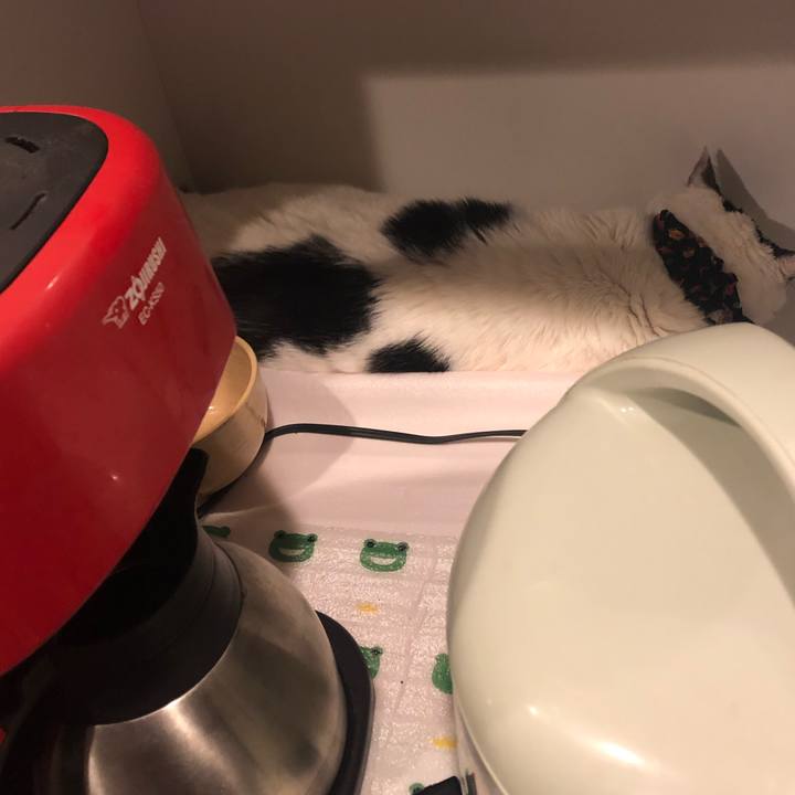 Cf5e6ffc b705 4aba b3d1 be5603b1e22f 1552225369438