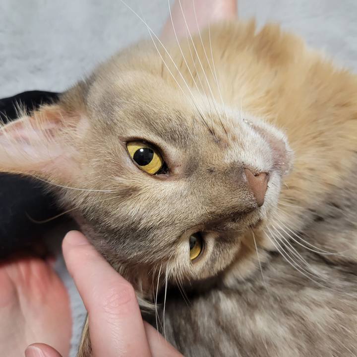 Cf5e90af e683 4658 8511 388529c6cccd 1649417293407