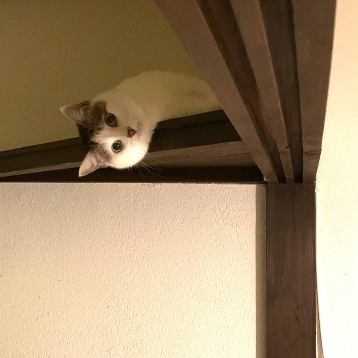 Cf5e9532 fe5e 43f4 8be9 8acdbec32bb8 1585675398120