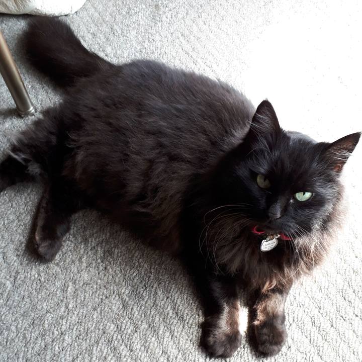 Cf5ea834 cbba 45c6 b1be e6f1cf203a0f 1522547820743