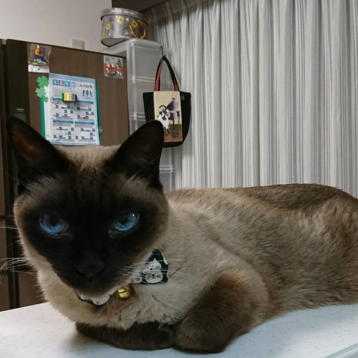 Cf5ea916 c267 4cf3 bdb9 6a92d899b5fe 1514468203043