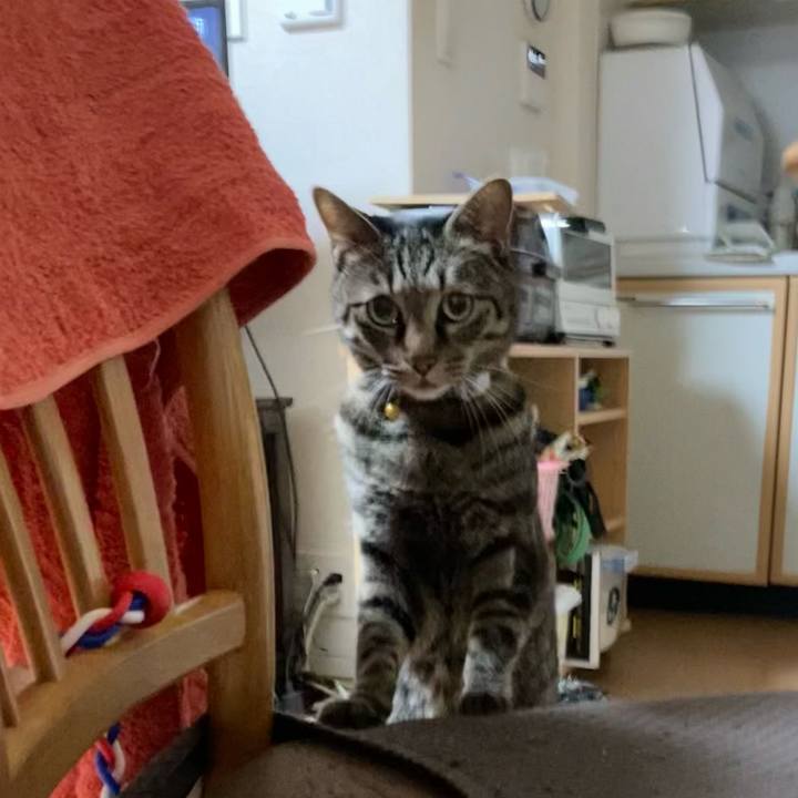 Cf5ead90 2189 4ea0 87c5 aabdd5cb04c4 1606453930641