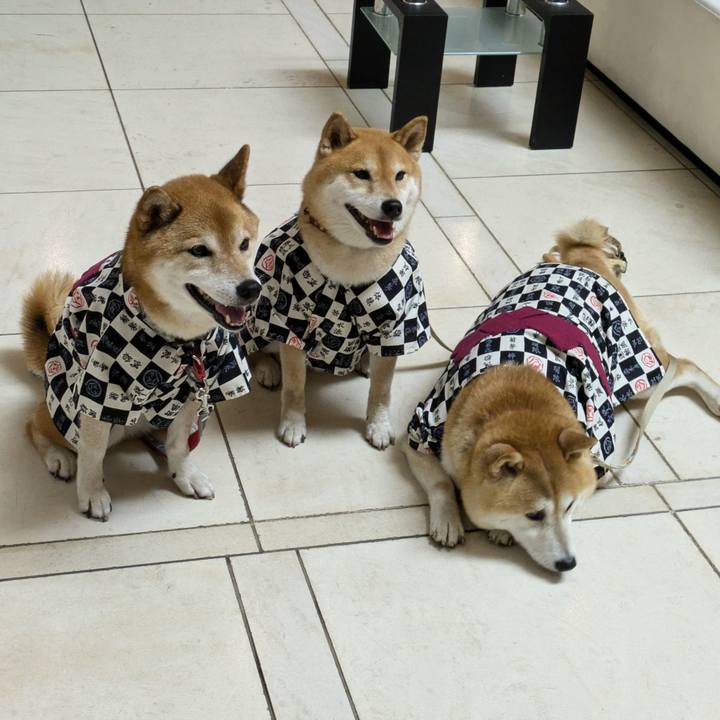 Cf5eb00e 8d84 4755 a1a6 f7092d78cf99 1720329077195