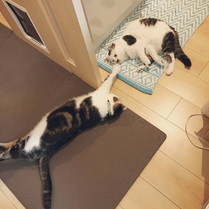 Cf5ede3c 535e 48fb bb42 94aab7eb13db 1532580269517